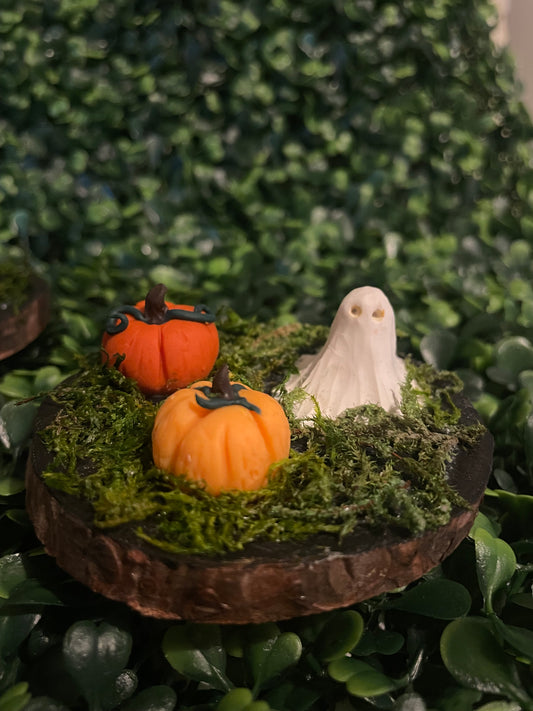 Mini garden with ghost & 2 pumpkins